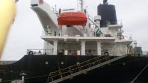 sealand-recommendations-300x169